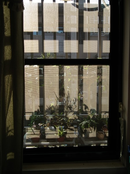 10122008.jpg 10122008.jpg