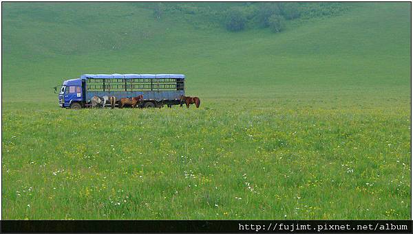 L1060949_1.jpg L1060949_1.jpg