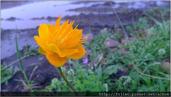 Image00010.jpg Image00010.jpg