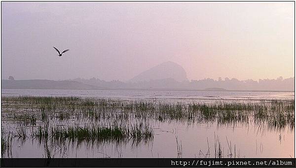 L1060593_1.jpg L1060593_1.jpg