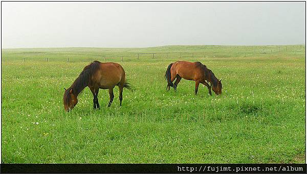 L1060628_1.jpg L1060628_1.jpg