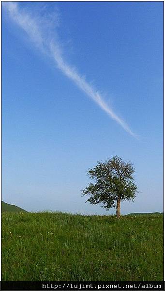 L1060894_1.jpg L1060894_1.jpg