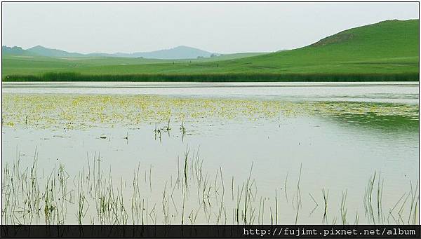 L1060932_1.jpg L1060932_1.jpg