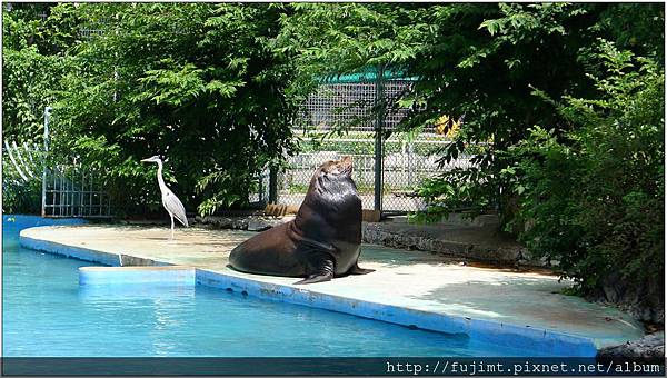 L1070951.jpg L1070951.jpg