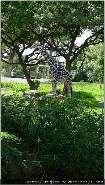 L1070953.jpg L1070953.jpg