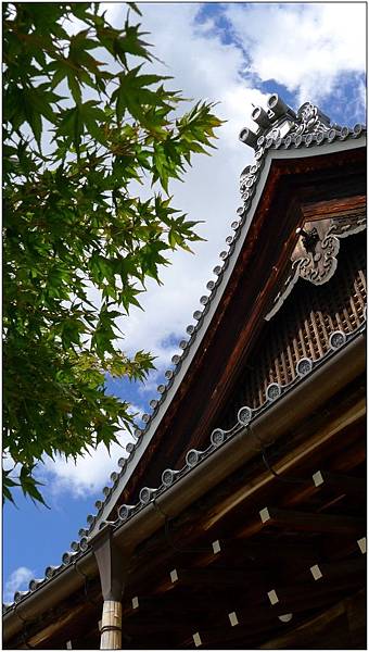 L1080200.jpg L1080200.jpg