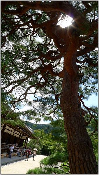 L1080216.jpg L1080216.jpg