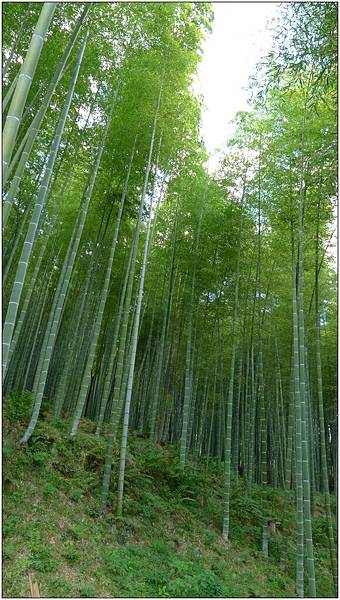 L1080221.jpg L1080221.jpg