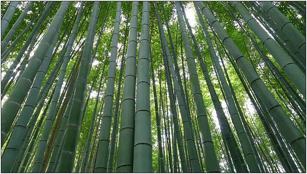 L1080249.jpg L1080249.jpg