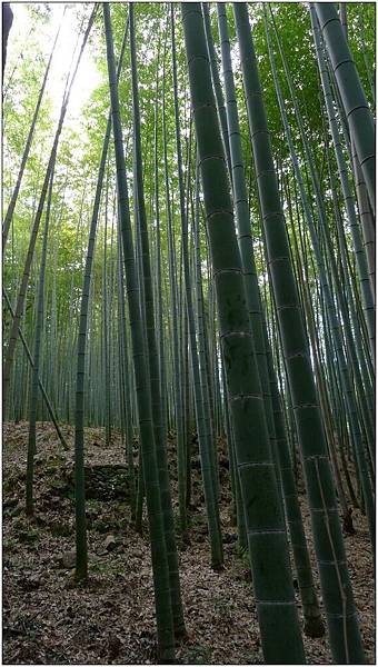 L1080251.jpg L1080251.jpg