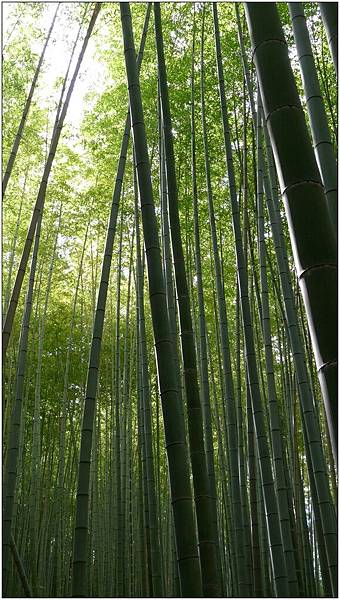 L1080252.jpg L1080252.jpg