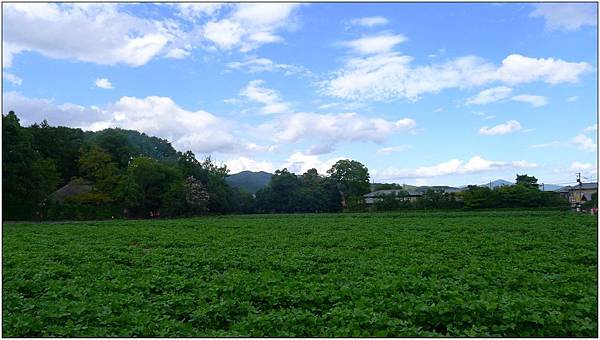 L1080255.jpg L1080255.jpg