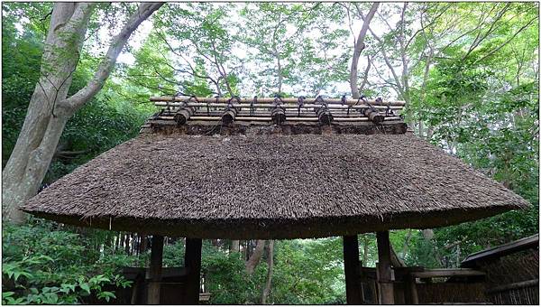 L1080271.jpg L1080271.jpg