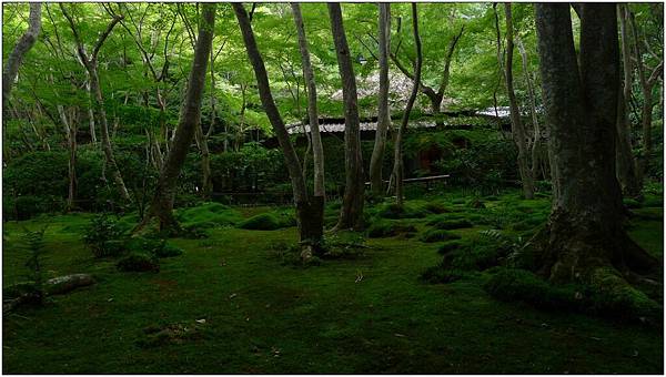 L1080275.jpg L1080275.jpg