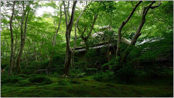 L1080287.jpg L1080287.jpg