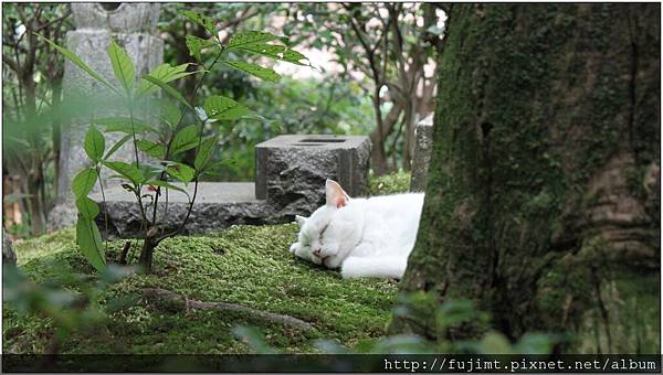 IMG_7937.JPG IMG_7937.JPG