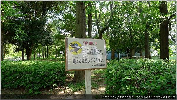 L1080064.jpg L1080064.jpg