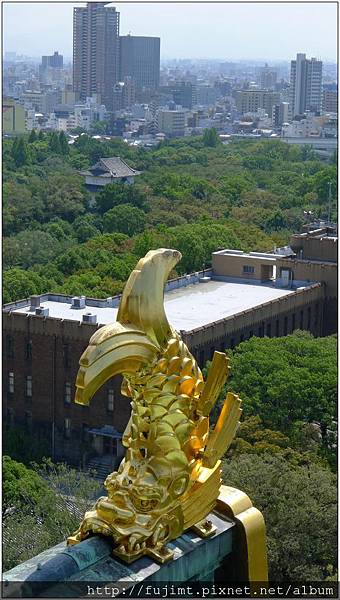 L1080104.jpg L1080104.jpg