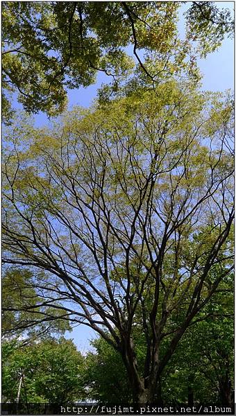 L1080122.jpg L1080122.jpg