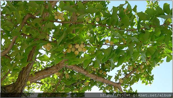 L1080135.jpg L1080135.jpg