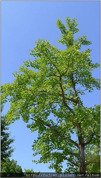 L1080136.jpg L1080136.jpg