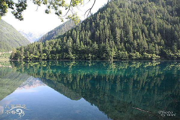 IMG_6808拷貝 IMG_6808拷貝