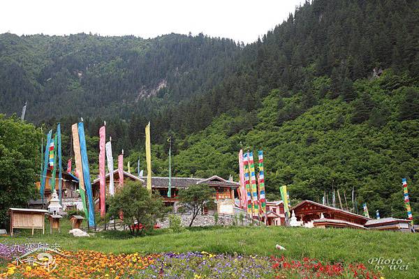 Image00016 Image00016