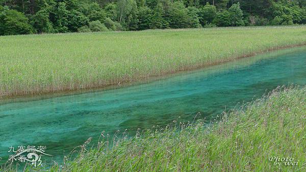 Image00043 Image00043