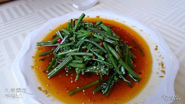 Image00047 Image00047