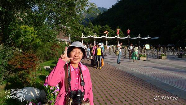 Image00080 Image00080