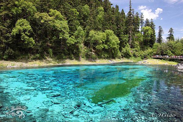 Image00157 Image00157