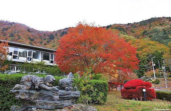 IMG_1395.JPG IMG_1395.JPG