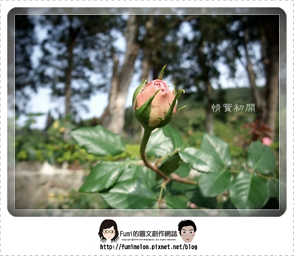 花朵物語-情竇初開