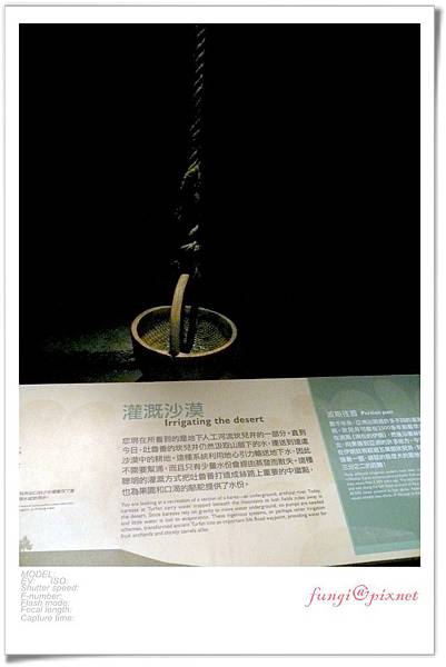 019.jpg 019.jpg