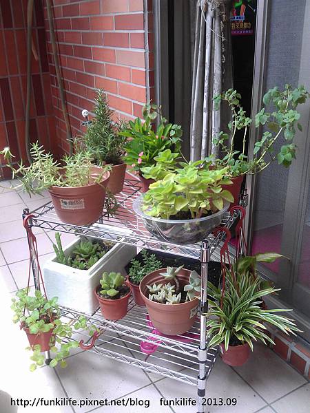 小花園201309