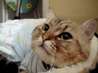 DSC04136 mod_resize.JPG