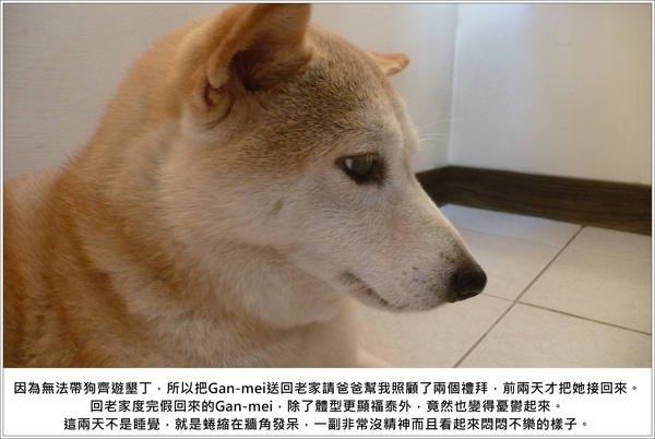 P1070040@.JPG P1070040@.JPG