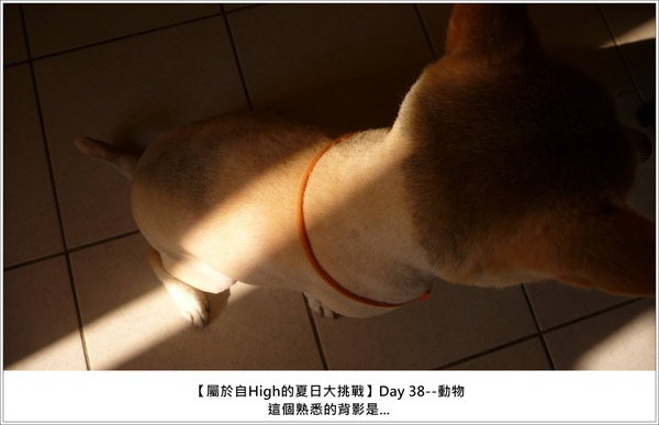 P1070067@.JPG P1070067@.JPG