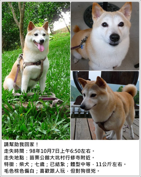 協尋.jpg 協尋.jpg