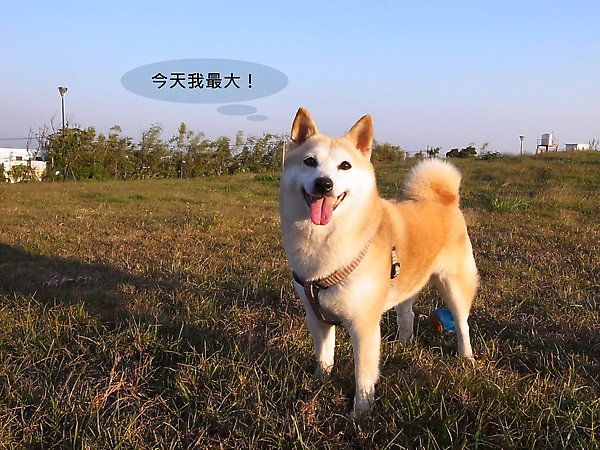 R1277045@.JPG R1277045@.JPG