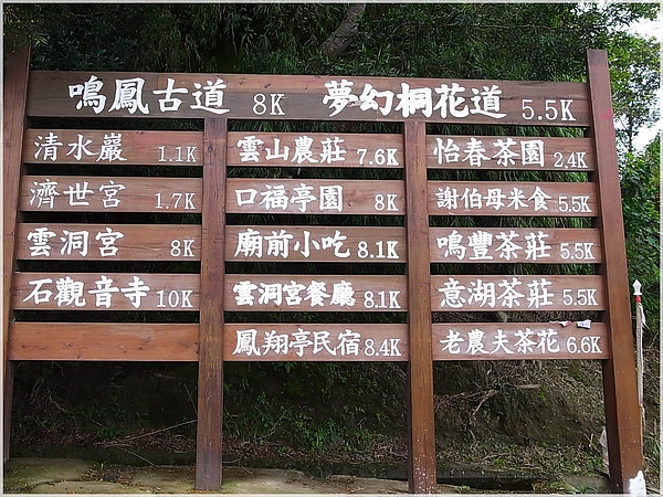 RIMG0114-23夢幻桐花步道.JPG RIMG0114-23夢幻桐花步道.JPG