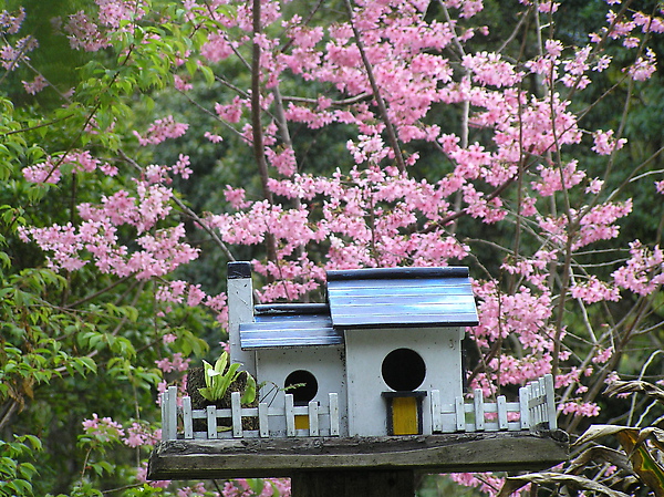 P2140059.JPG P2140059.JPG