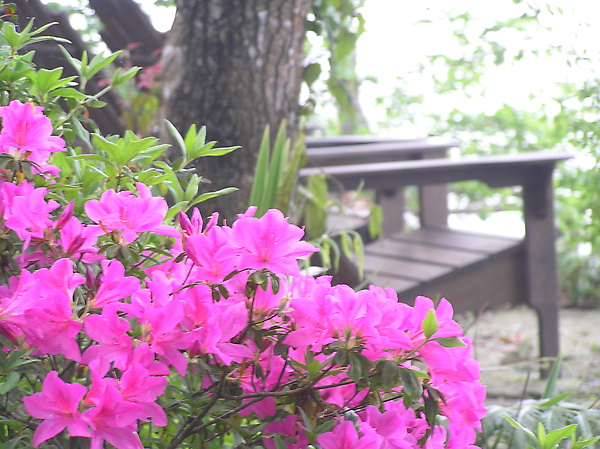 P1010096.JPG P1010096.JPG