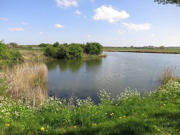 IMG_2041.jpg IMG_2041.jpg