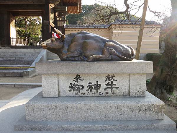 IMG_2718.jpg IMG_2718.jpg