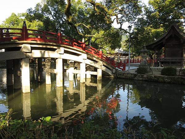 IMG_2721.jpg IMG_2721.jpg