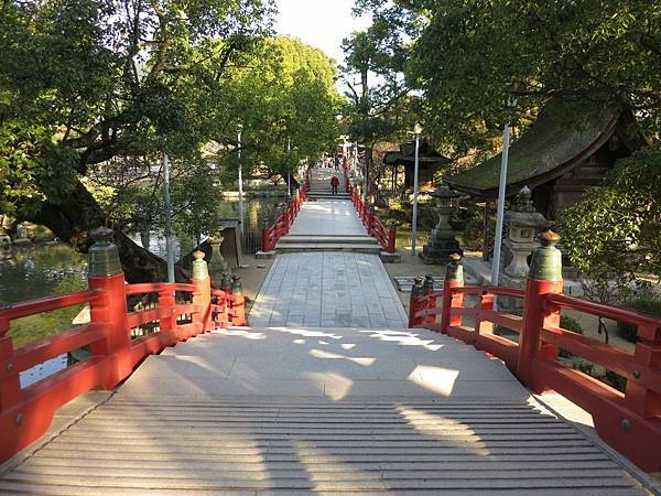 IMG_2723.jpg IMG_2723.jpg