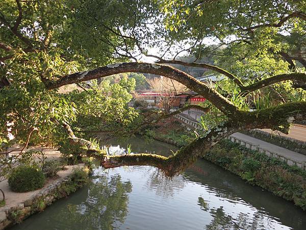 IMG_2724.jpg IMG_2724.jpg