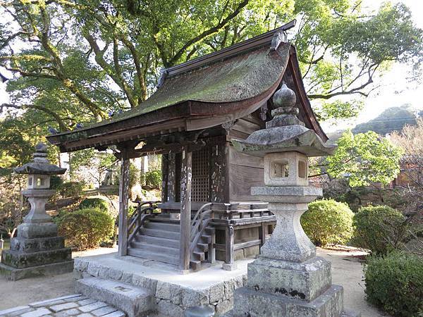 IMG_2725.jpg IMG_2725.jpg