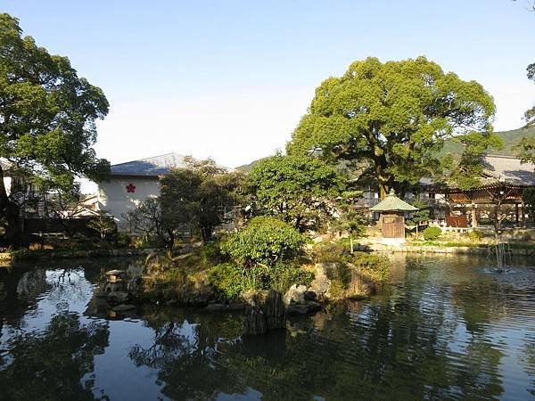 IMG_2728.jpg IMG_2728.jpg